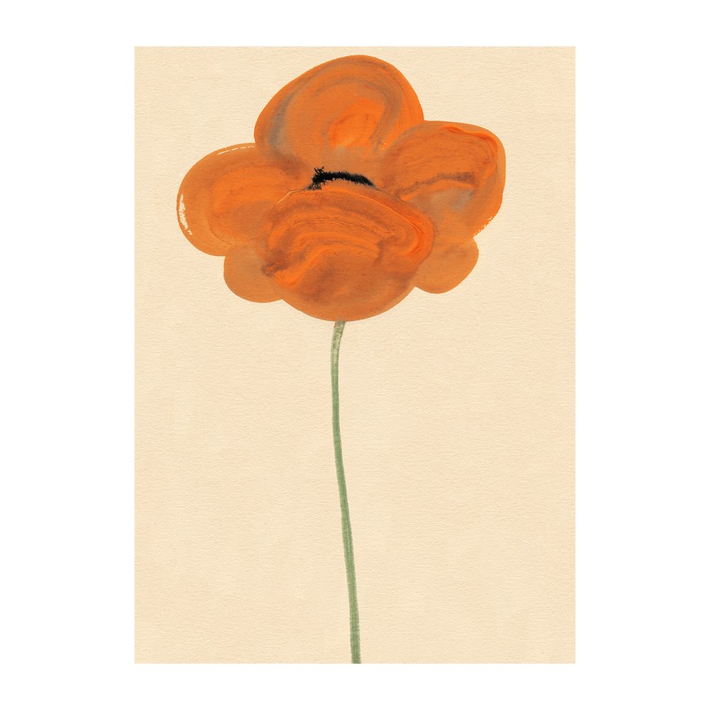 Orange Vallmo poster, 30x40 cm