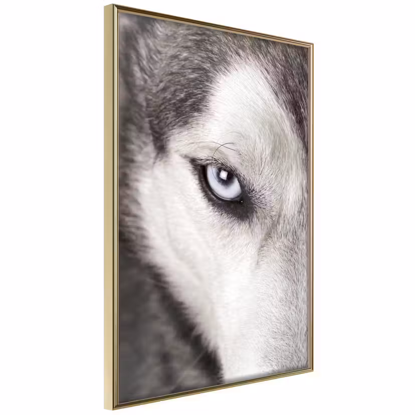 Poster Artgeist Affisch Dog's Look Guld ram, 40x60 cm