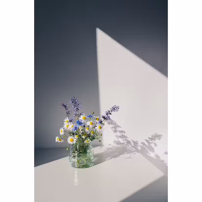 Posters Venture Home Flowers Vit 70x100 cm
