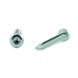 SKRUV RTB 7504N FZB T25 4,8X32