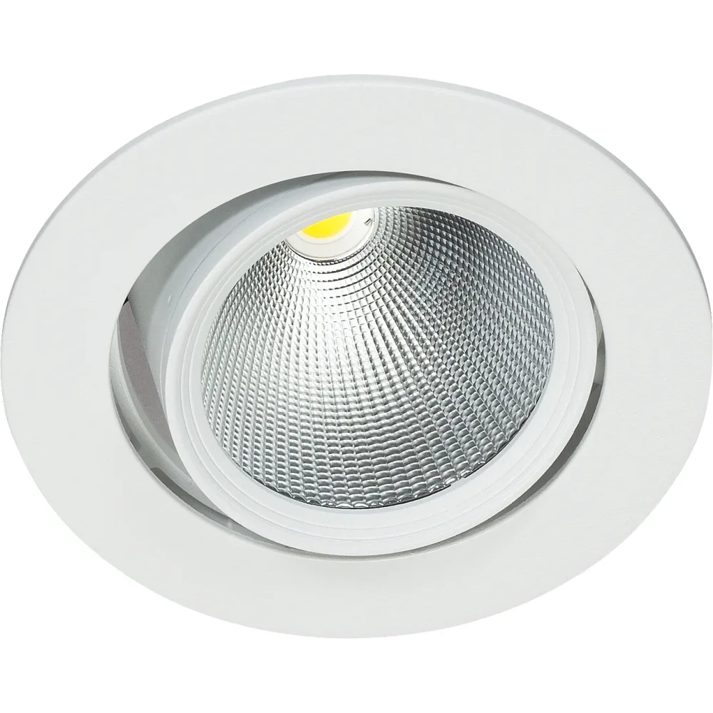 Easyform Pride Downlight ställbar, 360°/ 20° 44W