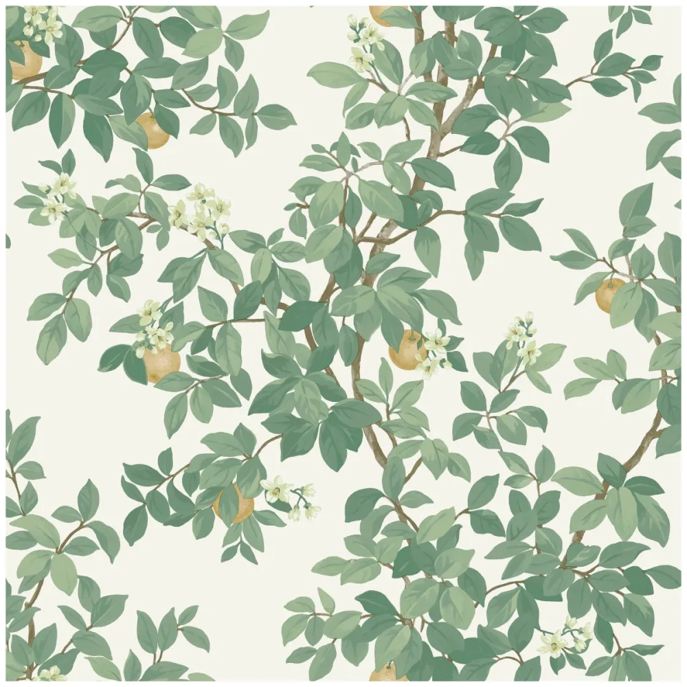 Tapet Imaginarium III Orange Tree Cream Green