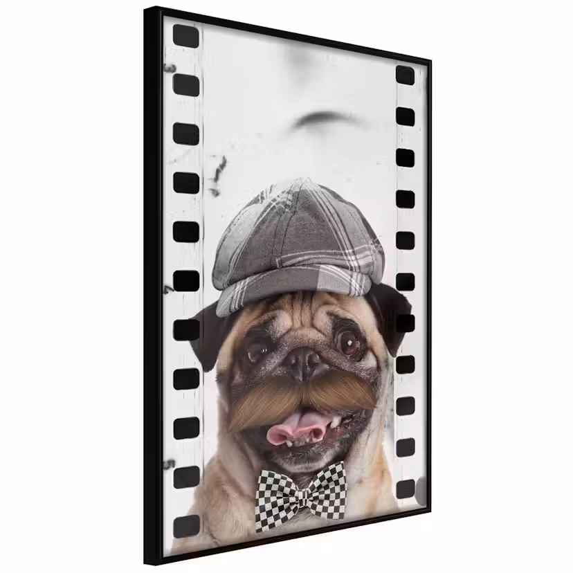 Poster Artgeist Affisch Pug In Hat Svart ram, 20x30 cm