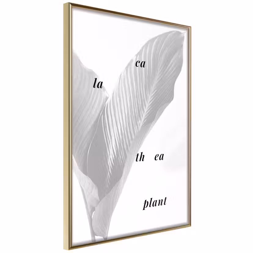 Poster Artgeist Affisch Calathea Plant Guld ram, 20x30 cm