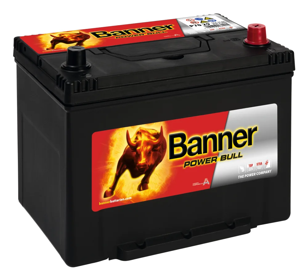 Banner Power Bull P7029M Startbatteri 12V, 70 Ah