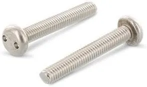 Schäfer & Peters 91012630 Säkerhetsskruv M6, med cylinderhuvud, A2, 100-pack M6 x 30 mm