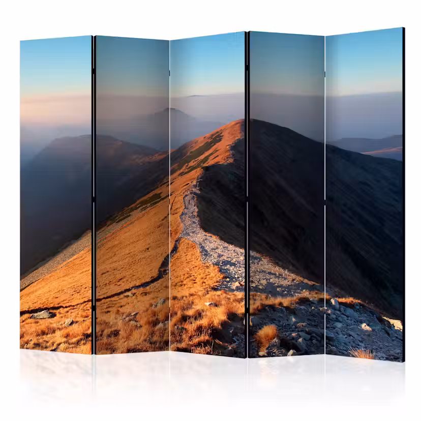 Rumsavdelare Skärmvägg Arkiio Mountain Footpath Tatras II 225x172 cm
