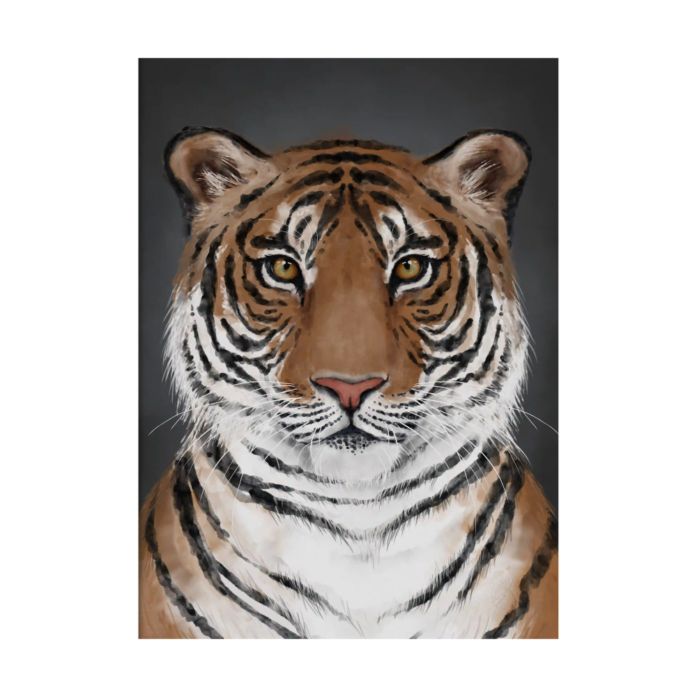 Tiger poster, 30x40 cm