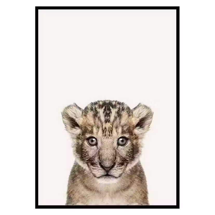 Poster Gallerix Baby Lion Storlek: 21x30 cm