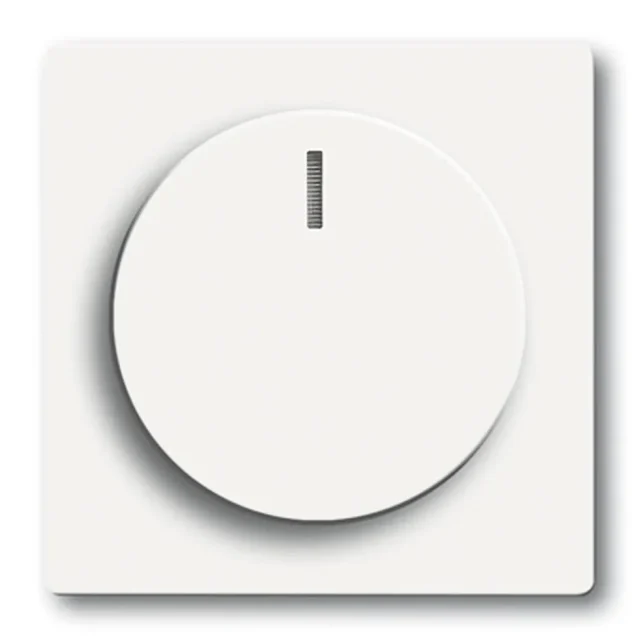 ABB 2CKA006599A2961 Centrumplatta mattvit