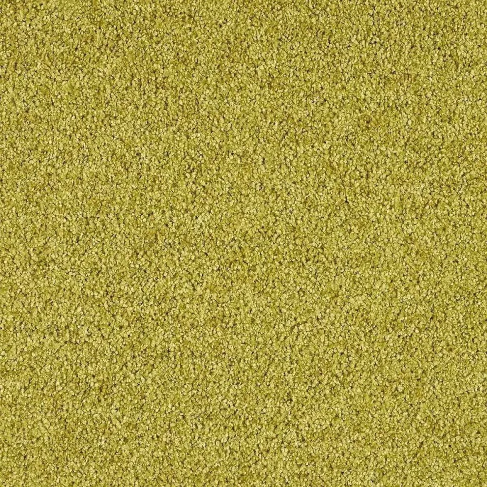 Heltäckningsmatta Euphoria Curry 540 400cm | Stuvbutiken