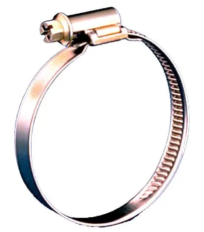 Gelia 3008033202 Slangklämma rostfri, 2-pack 44-56/12 mm