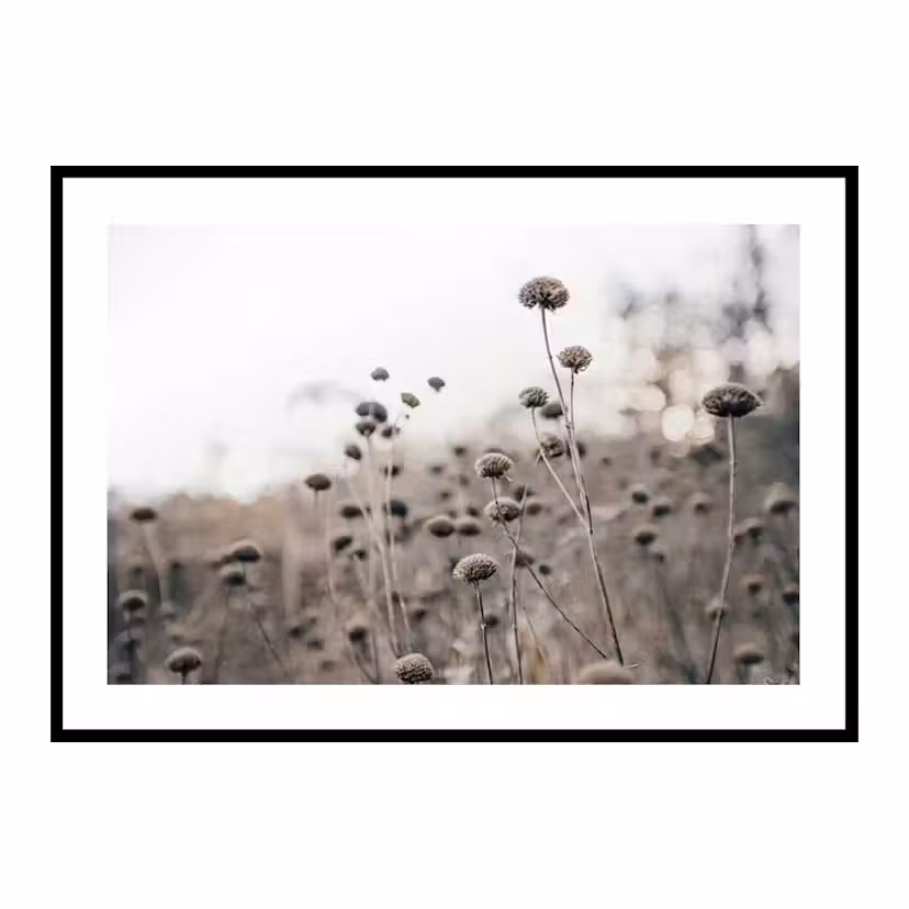 Poster Gallerix Monochromatic Flowers Storlek: 70x100 cm