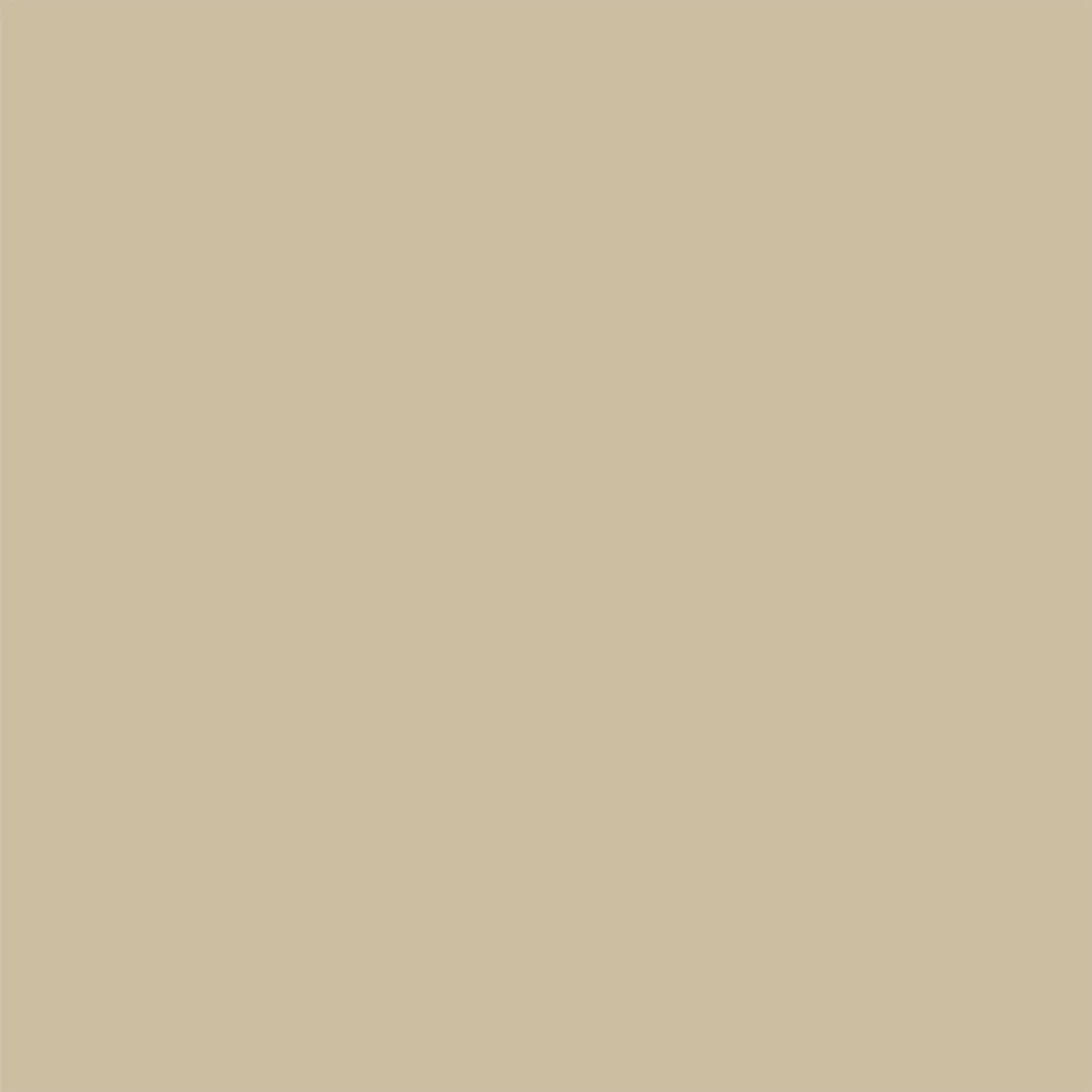 Akvarell Björkticka 222-26 Beige Tapet | Stuvbutiken - Bild 2