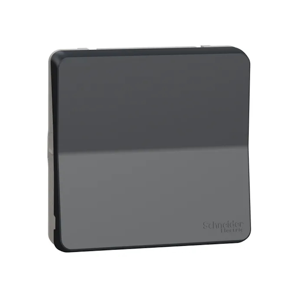Mureva Switch 2-Vägs 10A 250V IP55 Grå Schneider Electric