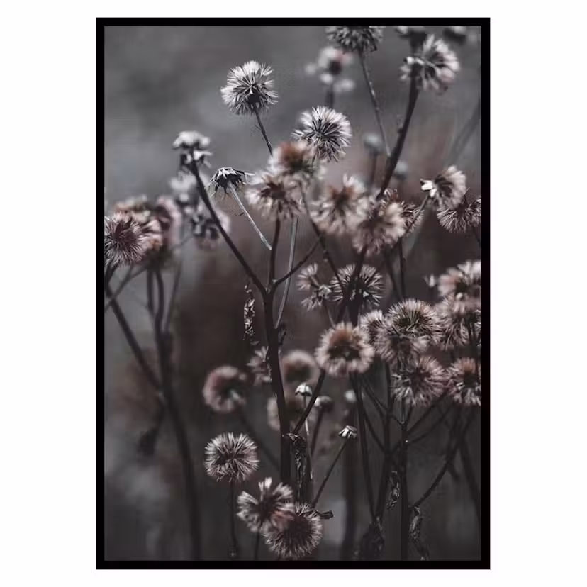 Poster Gallerix Forest Flowers Storlek: 21x30 cm