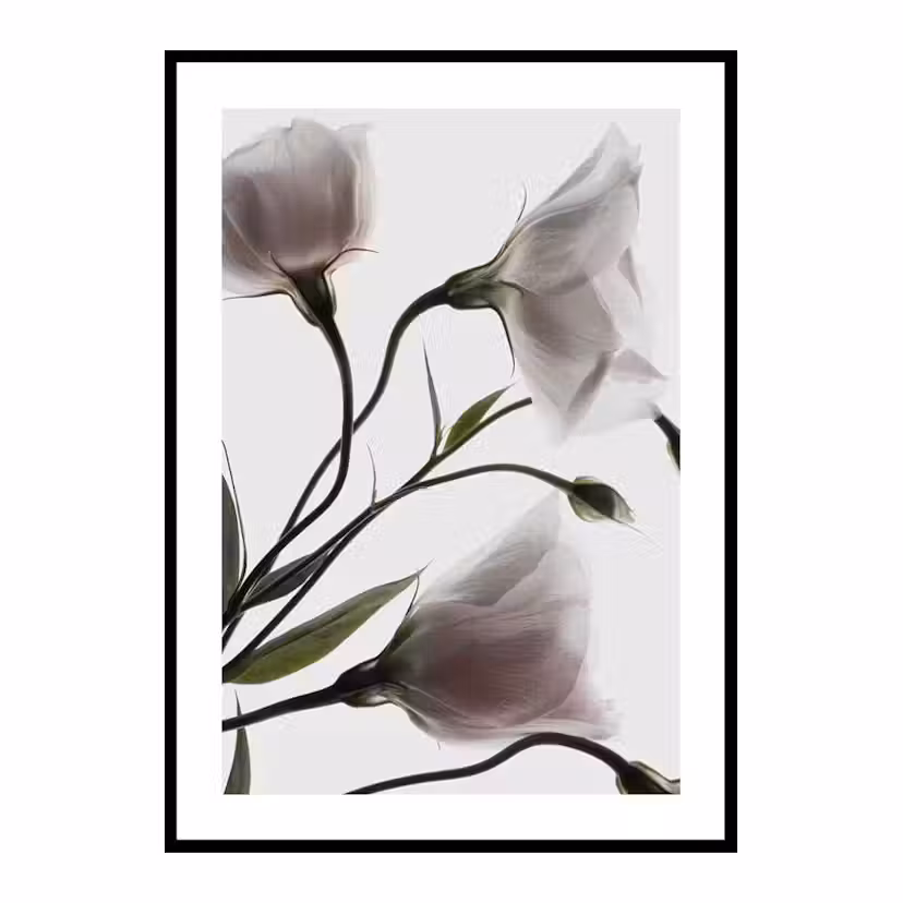 Poster Gallerix Three White Flowers Storlek: 70x100 cm