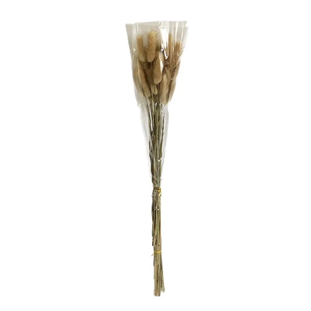 Torkad Bollblomma Beige 50 cm 12-pack | Dekoration | Stuvbutiken