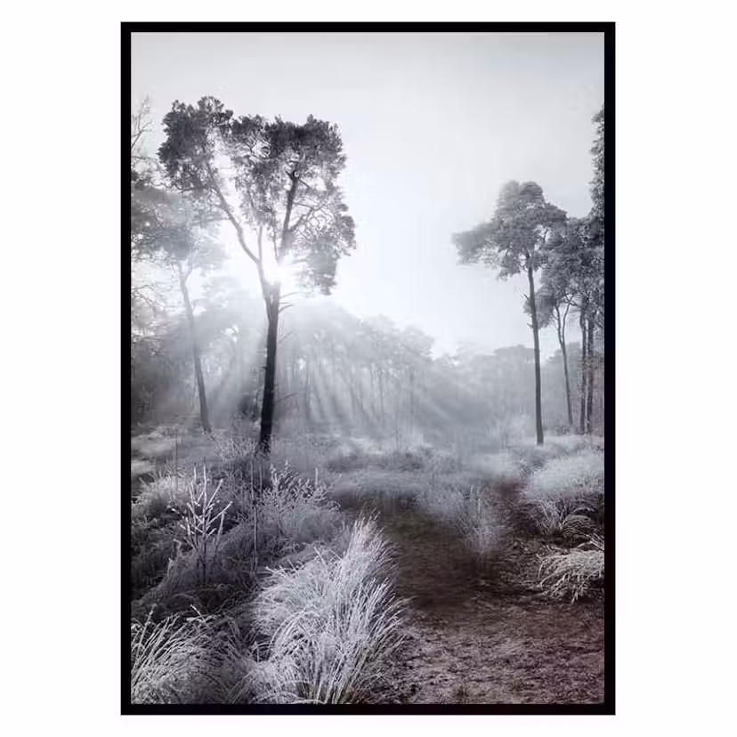 Poster Gallerix Winter Sunrays Storlek: 21x30 cm
