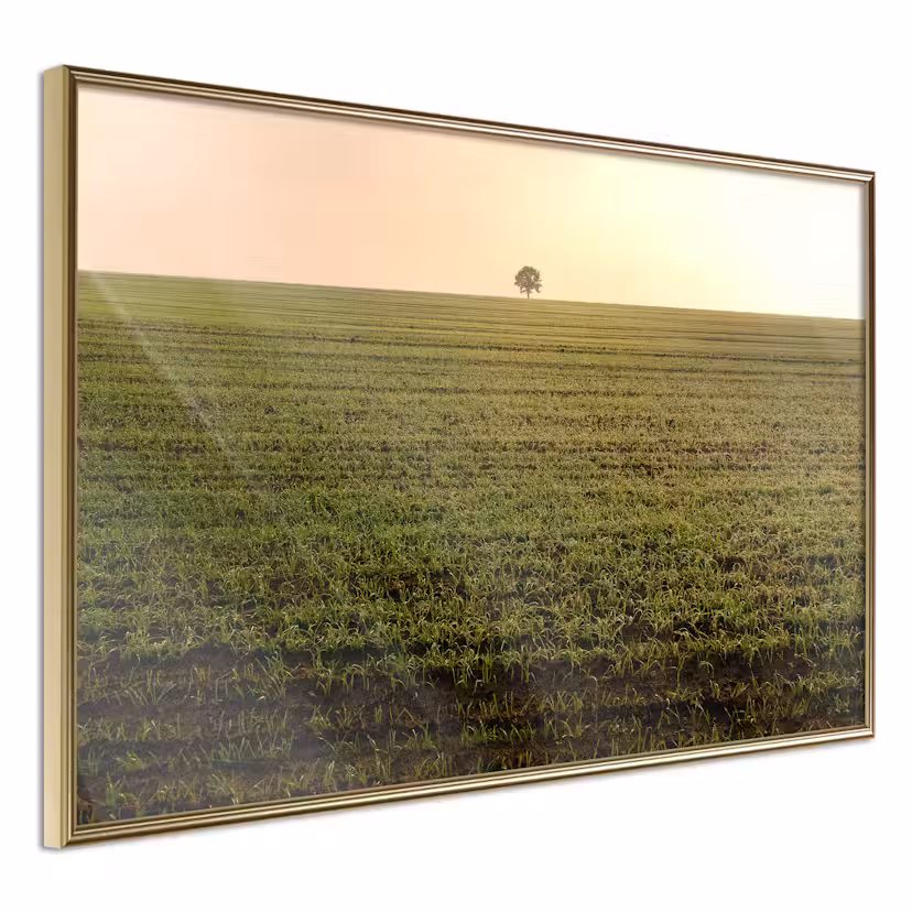 Poster Artgeist Affisch Autumn Morning Guld ram, 30x20 cm